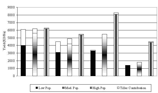 Contribution of main heads and tillers to total yield of population at specified planting dates at Manhattan, KS.