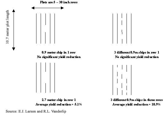 Replanting options and respective yield reduction.