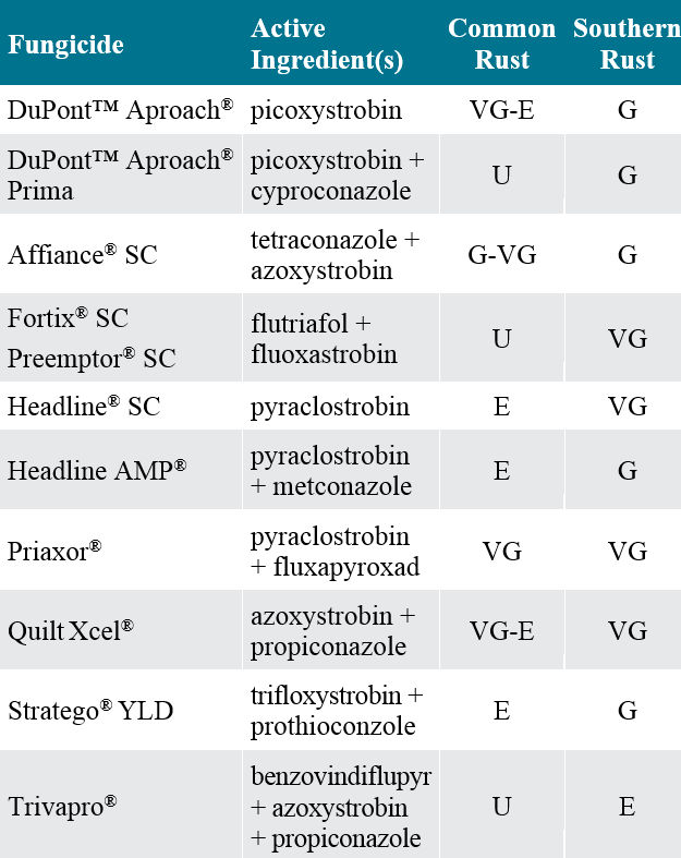 Table - Foliar fungicide efficacy on common and southern rust in corn.