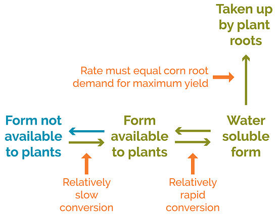 This is a chart showing different forms of plant nutrients in soil.