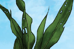 Daño medio- nivel 5 de la Escala Davis