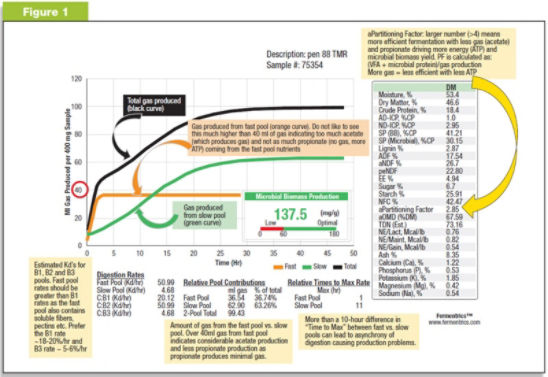 Gas Fermentation Analysis Report
