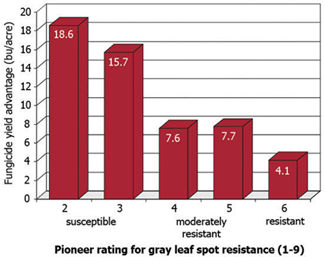 Chart: Average yield response of Pioneer® brand hybrids to foliar fungicide application according to gray leaf spot disease rating (300 trials, 1999-2008).