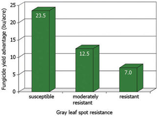 Chart: Average yield increase with foliar fungicide application over three years in hybrids susceptible, moderately resistant, and resistant to gray leaf spot.