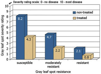 Chart: Gray leaf spot severity ratings with and without foliar fungicide treatment in hybrids susceptible, moderately resistant, and resistant to gray leaf spot.