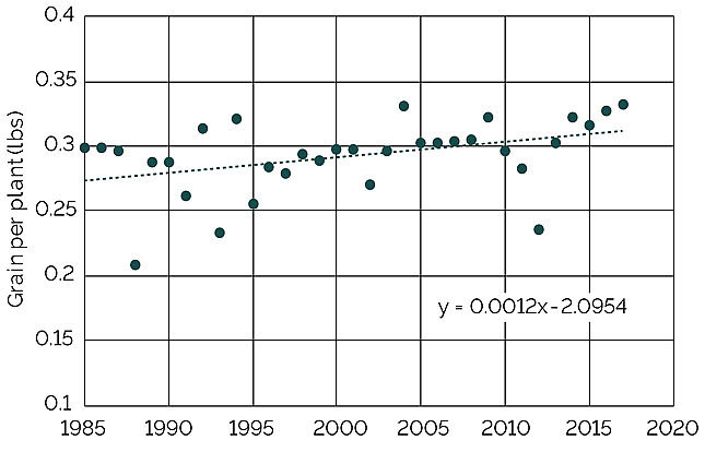 Chart showing average grain yield per plant in the U.S. from 1985 to 2017.