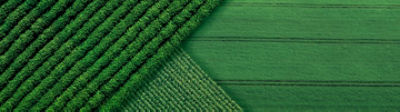 greenfield_1440x400