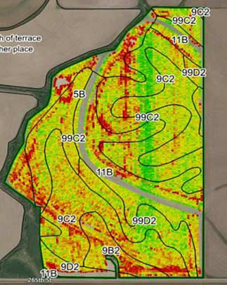 Harvest map of corn field showing increased yield levels in the fungicide-treated strip compared to the untreated areas of the field.