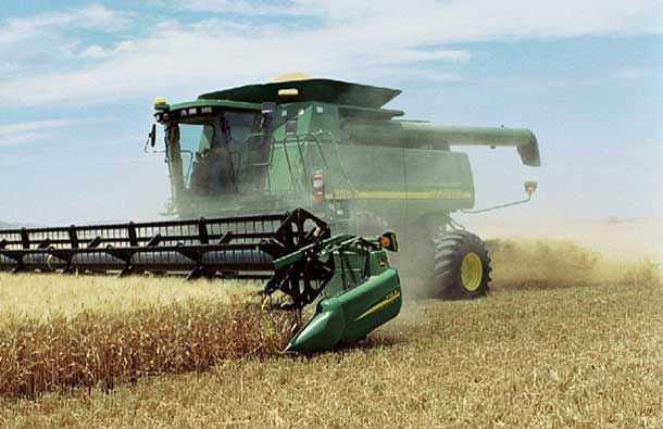 Photo of wheat harvest.