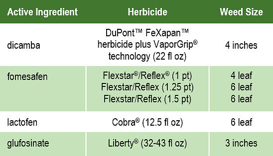 Maximum recommended height or growth stage for best control of Palmer amaranth with postemergence herbicides in soybean.