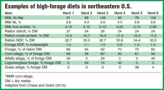 Examples of high-forage dairy livestock diets in northeastern U.S.