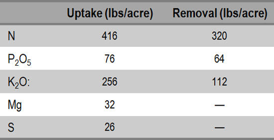 Soybean nutrient needs for an 80 bu/acre crop