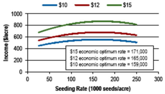 optimum economic seeding rates at soybean market prices