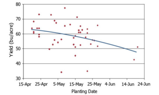 soybean yield response to planting date