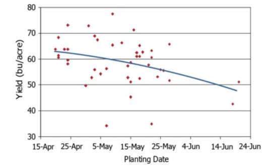 soybean yield response to planting date