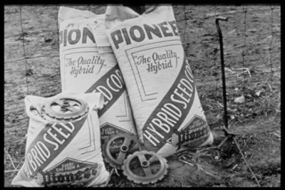 Pioneer-historical-photos