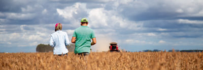 Um casal de costas andando no meio de uma lavoura de soja, com céu azul e uma colheitadeira.