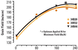 Grain yield response of three corn hybrids to N application rate.