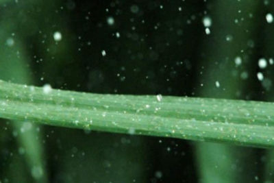 i-Q4 technology_image_v01