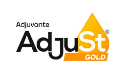 Adjust Gold