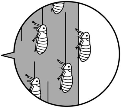 抵抗性ウンカにも優れた効果
