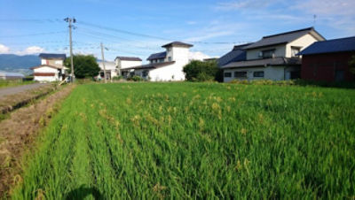 2020年8月2日　散布後