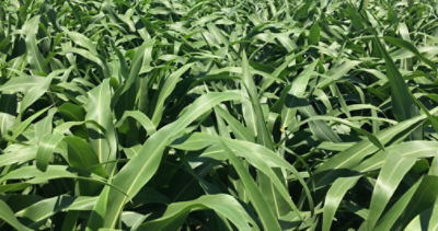 imagen_cabecera_845F