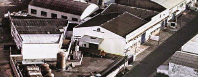 img-50-anos-stoller-arbore