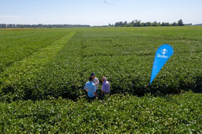 Por: Ing. Agr. Matías Retamal, Gerente Desarrollo &amp; Mercadeo de Stoller Argentina y Uruguay. Para la campaña de soja que se avecina, desde Stoller proponemos un programa (...)