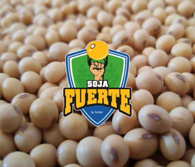 granos de soja