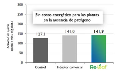 plantas no inoculadas respuestas