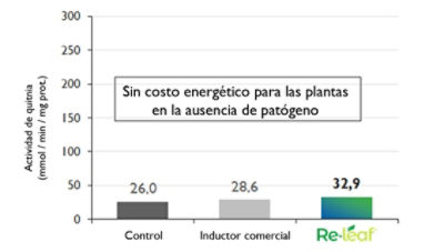 plantas no inoculadas respuestas
