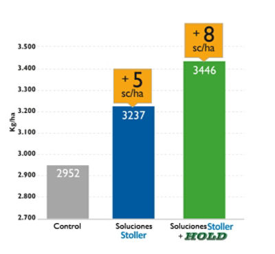Hold minimiza las pérdidas