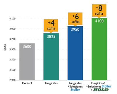 Hold maximiza las ganancias de productividad