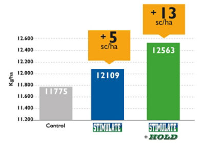 Aumento de productividad