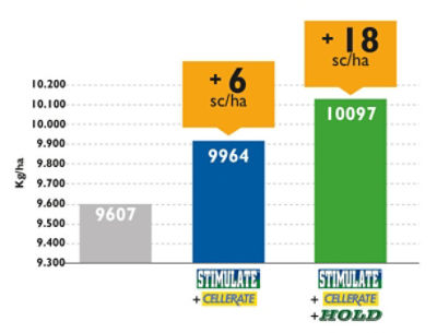  MAIZ Aumento de productividad