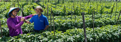 Scientist examining plants in laboratory