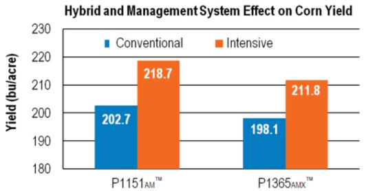 Chart: Hybrid/Mgmt System Effect on Yield