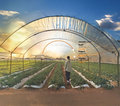 Protección de cultivos