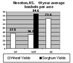 Comparison wheat/sorghum yields - Hesston, KS