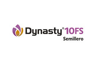 Dynasty 10FS