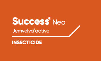 Success Neo Jemvelva active Insecticide