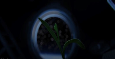 impact inside the seed