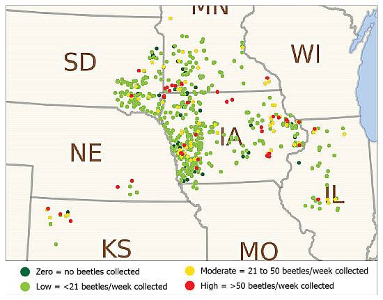 Chart showing maximum population levels observed at corn rootworm beetle trapping locations in 2017.