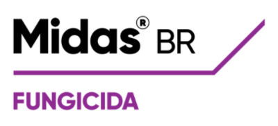 Logotipo Midas