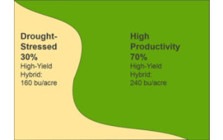 yield results.