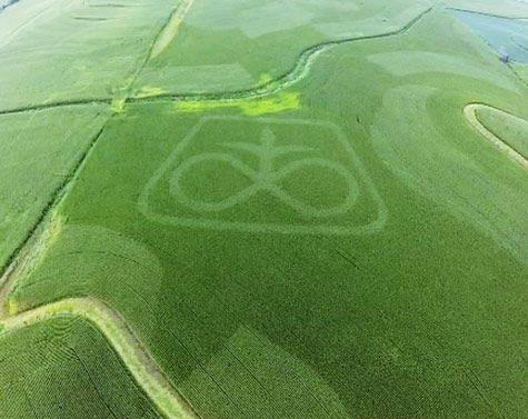 Overhead view of a Pioneer multi-hybrid trial in 2015.