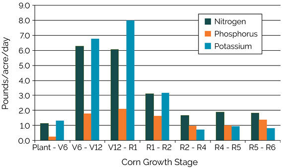 Chart showing estimated uptake of nitrogen, phosphorus, and potassium from the soil required to support a grain yield of 300 bu/acre at different corn growth stages.