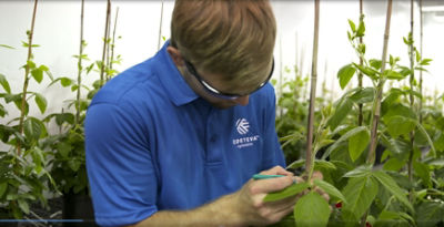 Never-ending Innovation