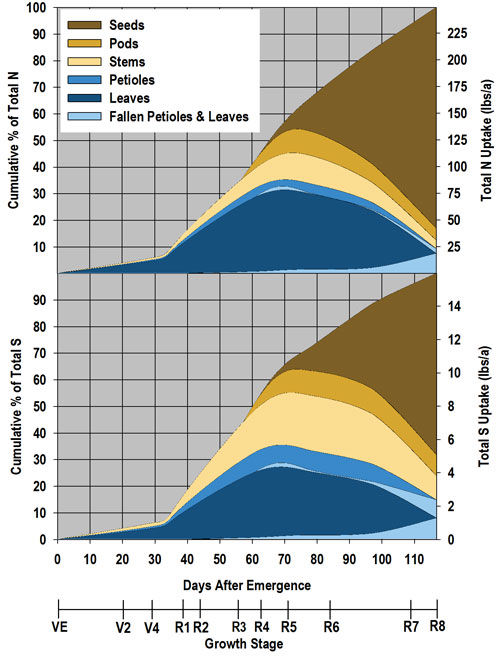 N and S uptake rate through the growing season for a 66 bu/acre soybean crop.